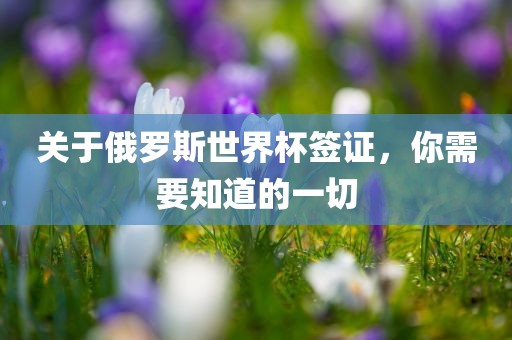 关于俄罗斯世界杯签证，你需要知丹东日丰电子有限公司道的一切