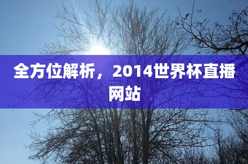 全方位解析，2014世界杯直播网站丹东日丰电子有限公司