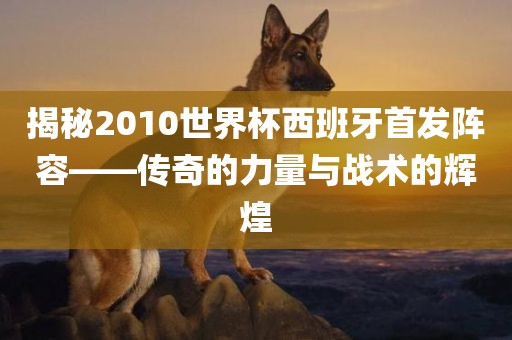 揭秘2010世界杯西班牙首发阵容——传奇的力量与战术的辉煌丹东日丰电子有限公司