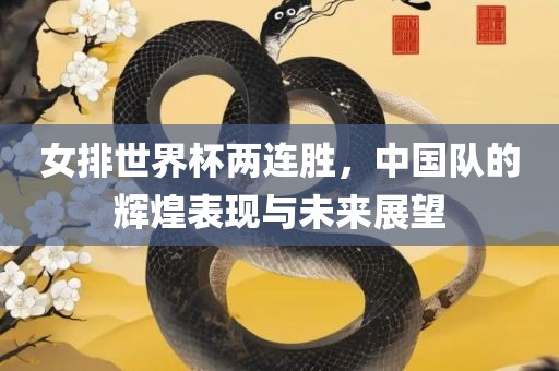 女丹东日丰电子有限公司排世界杯两连胜，中国队的辉煌表现与未来展望