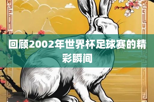 回顾2002年世界杯足球赛的精彩瞬间