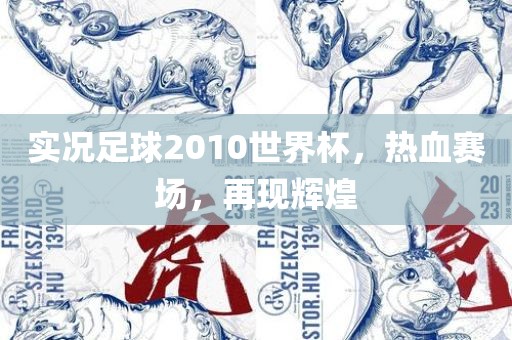 实况足球2010世界杯，热血赛场，再现辉煌