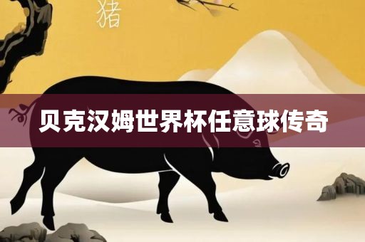 贝克汉姆世界杯任意球传奇丹东日丰电子有限公司