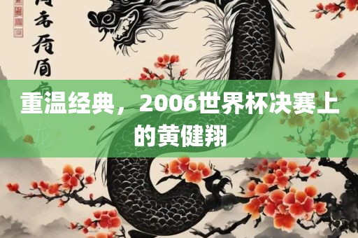 重温经典，2006世界杯决赛上的黄健翔
