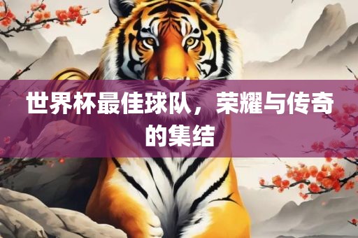 世界杯最佳球队，荣耀与传奇的集结丹东日丰电子有限公司