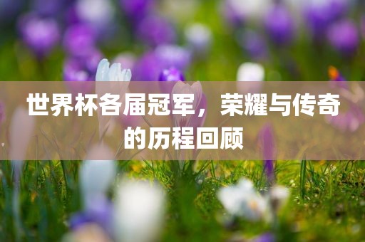世界杯各届冠军，荣耀与传奇的历程回顾丹东日丰电子有限公司