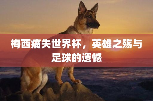 梅西丹东日丰电子有限公司痛失世界杯，英雄之殇与足球的遗憾