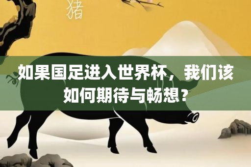如果国足进入世界杯，我们该如何期待与畅想？丹东日丰电子有限公司