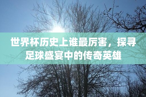 世界杯丹东日丰电子有限公司历史上谁最厉害，探寻足球盛宴中的传奇英雄