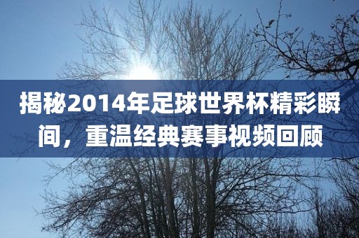 揭秘2014年足球世界杯精彩瞬间，重温经典赛事视频回顾丹东日丰电子有限公司