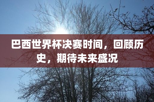 巴西世界杯决赛时间，回顾历史，期待未来盛况丹东日丰电子有限公司