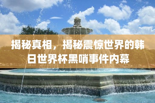 揭秘真相，揭秘震惊世界的韩日世界杯黑哨事件内幕丹东日丰电子有限公司