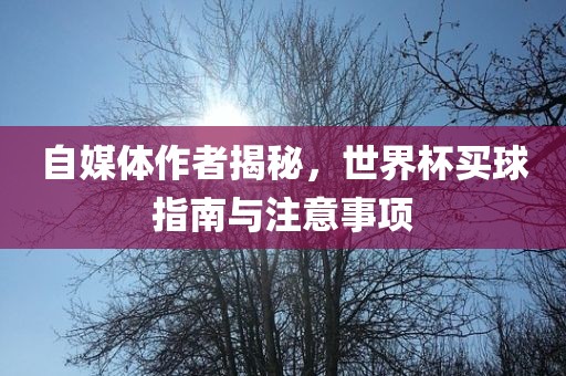 自媒体作者揭秘，世界杯买球指南与注意事项