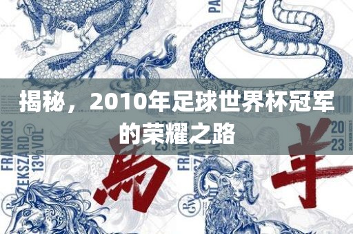 揭秘，2010年足球世界杯冠军的荣耀之路
