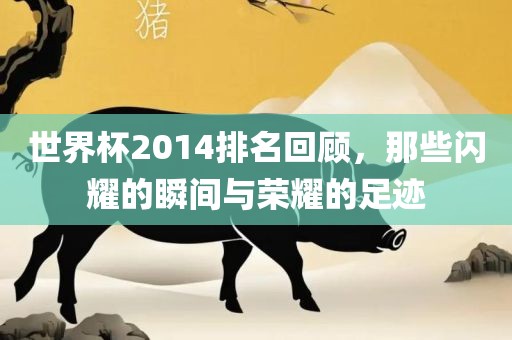 丹东日丰电子有限公司世界杯2014排名回顾，那些闪耀的瞬间与荣耀的足迹