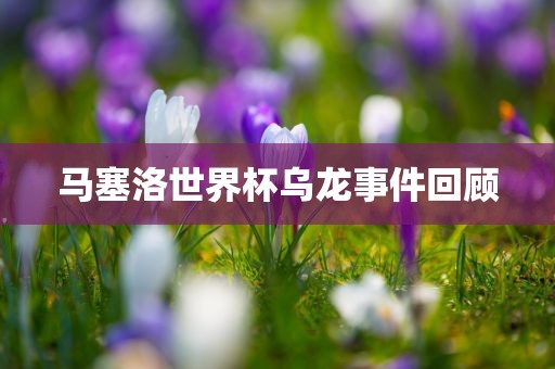 马塞洛世界杯乌龙事件回顾丹东日丰电子有限公司