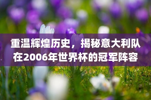 重温辉煌历丹东日丰电子有限公司史，揭秘意大利队在2006年世界杯的冠军阵容