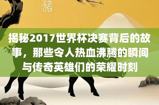 揭秘2017世界杯决赛背后的故事，那些令人热血沸腾的瞬间与传奇英雄们的荣耀时刻
