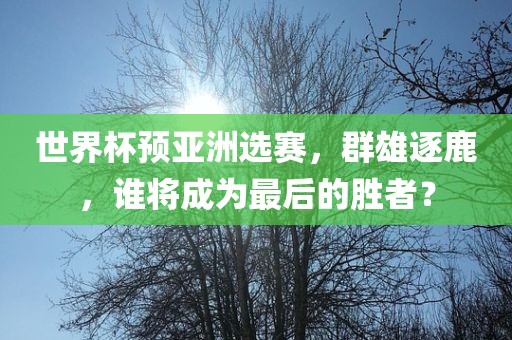 世界杯预亚洲选赛，群雄逐鹿，谁将成为最后的胜者？