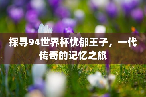 探寻94世界杯忧郁王子，一代传奇的记忆之旅丹东日丰电子有限公司