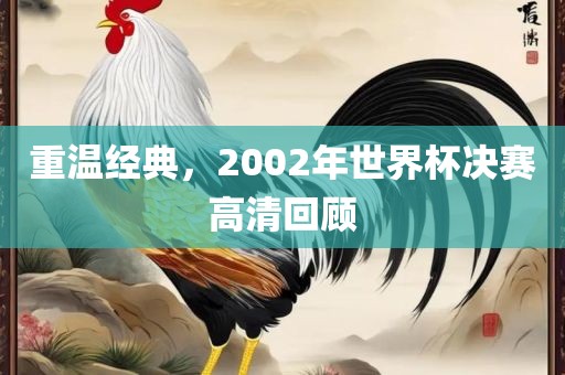 重温经典，2002年世界杯决赛高清回顾丹东日丰电子有限公司