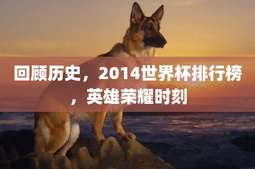 回顾历史，2014世界杯排行榜，英雄荣耀时刻丹东日丰电子有限公司