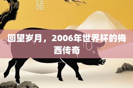 回望岁月，2006年世界杯丹东日丰电子有限公司的梅西传奇