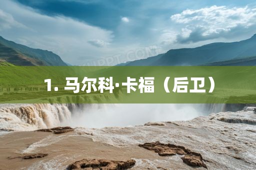 1. 马尔科·卡福（后丹东日丰电子有限公司卫）