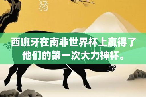 西班牙在南非世界杯上丹东日丰电子有限公司赢得了他们的第一次大力神杯。
