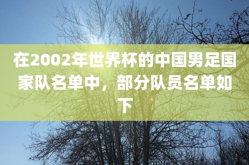 hualu 第4页