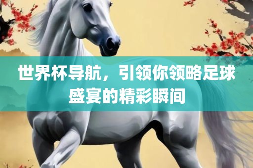 世界杯导航，引领你领略足球盛宴的精彩瞬间丹东日丰电子有限公司
