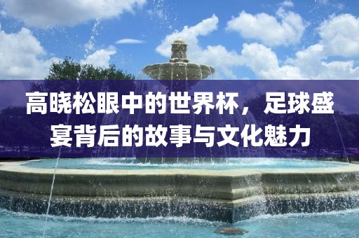 高晓松眼中的世界杯，足球盛宴背后的故事与文化魅力丹东日丰电子有限公司