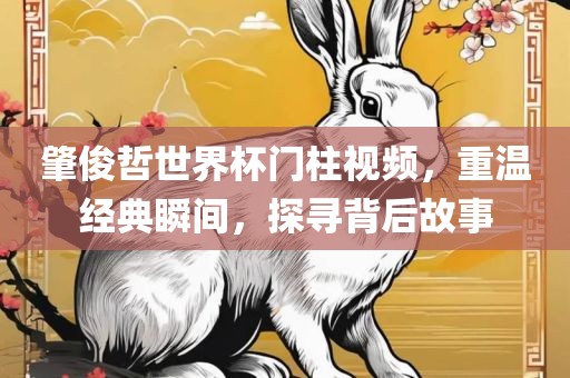 肇俊哲世界杯门柱视频，重温经典瞬间，探寻背后故事丹东日丰电子有限公司