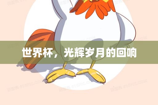 世界杯，光辉岁月的丹东日丰电子有限公司回响