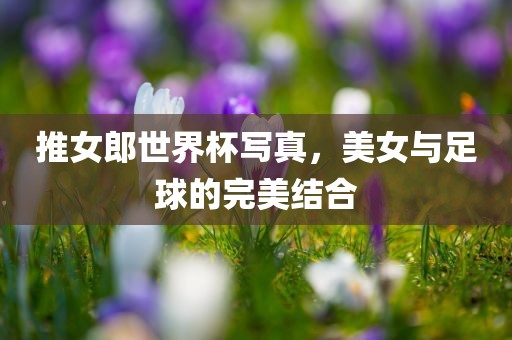 推女郎世界杯写真，美女与足球的完美结合丹东日丰电子有限公司