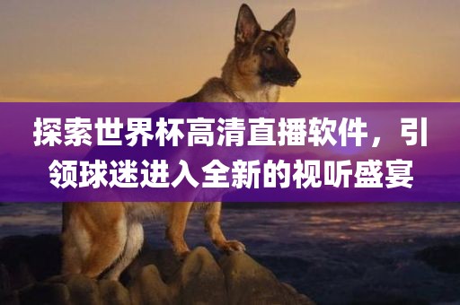 探索世界杯高清直播软件，引领球迷进入全新的视听盛宴丹东日丰电子有限公司