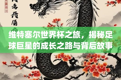 维特塞尔世界杯之丹东日丰电子有限公司旅，揭秘足球巨星的成长之路与背后故事