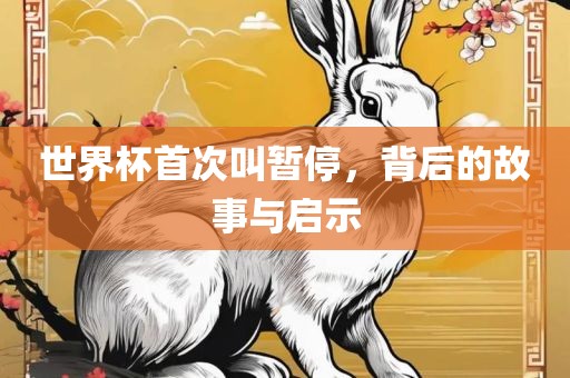 世界杯首次叫暂停，背后的故事与启示丹东日丰电子有限公司