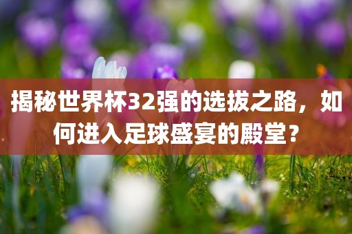 揭秘丹东日丰电子有限公司世界杯32强的选拔之路，如何进入足球盛宴的殿堂？