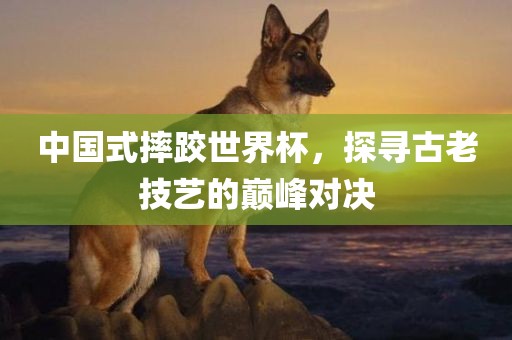 中国式丹东日丰电子有限公司摔跤世界杯，探寻古老技艺的巅峰对决