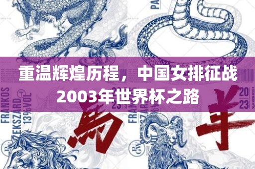 重温辉煌历程，中国女排征战2003年世界杯之路丹东日丰电子有限公司