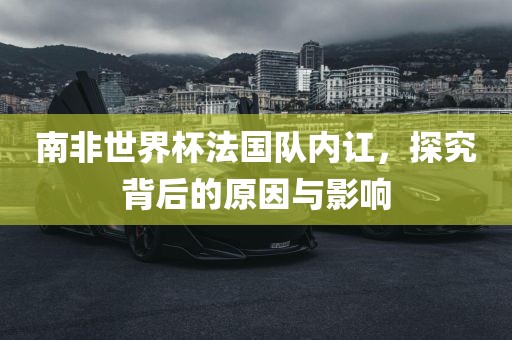 南非世界杯法国队内讧，探究背后的原因与影响