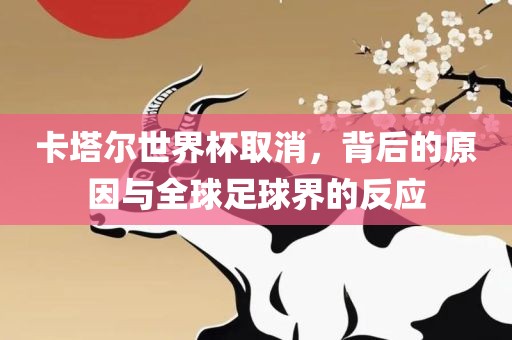 丹东日丰电子有限公司卡塔尔世界杯取消，背后的原因与全球足球界的反应