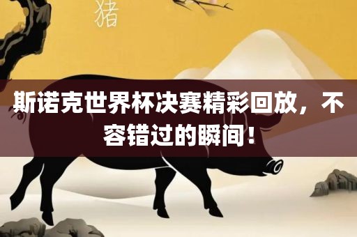 斯诺克世界杯决赛精彩回放，不容错过的瞬间！