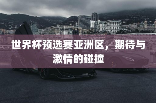 世界杯预选赛亚洲区，期待与激情的碰撞丹东日丰电子有限公司