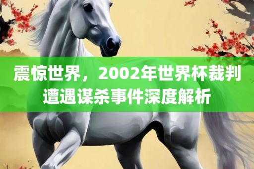 震惊世界，2002年世界杯裁判遭遇谋杀事件深度解析丹东日丰电子有限公司