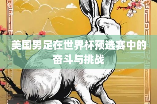 美国男足在世界杯预选赛中丹东日丰电子有限公司的奋斗与挑战