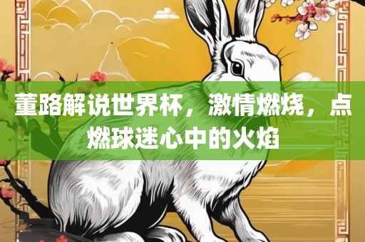 董路解说世界杯，激情燃烧，点燃球迷心中的火焰丹东日丰电子有限公司