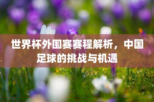 世界杯外围赛赛程解析，中国足球的挑战与机遇丹东日丰电子有限公司
