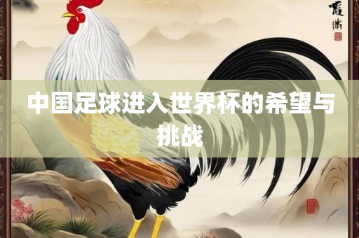 linhuijia 第4页